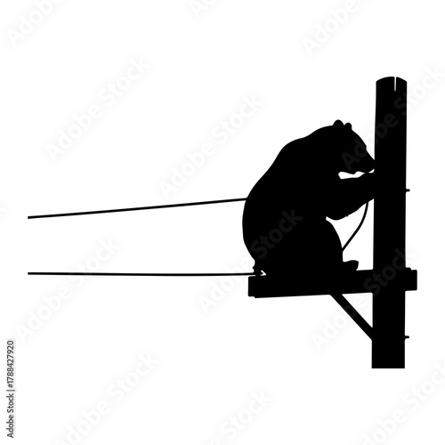 Silhouette of a bear on a utility pole and wires Keywords: bear, silhouette, utility pole, wires