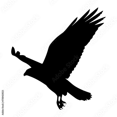 Silhouette of a bird of prey in flight wings flying
