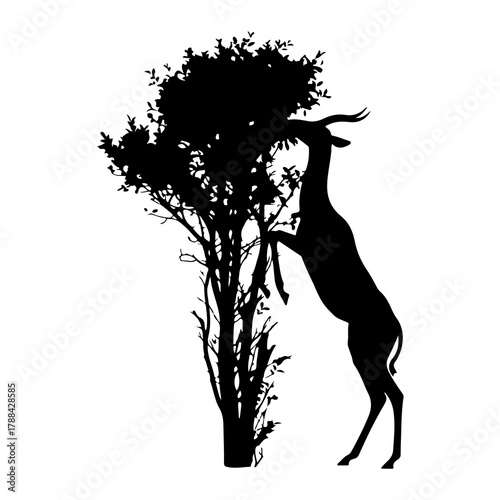 Silhouette of a deer reaching for leaves on a tree