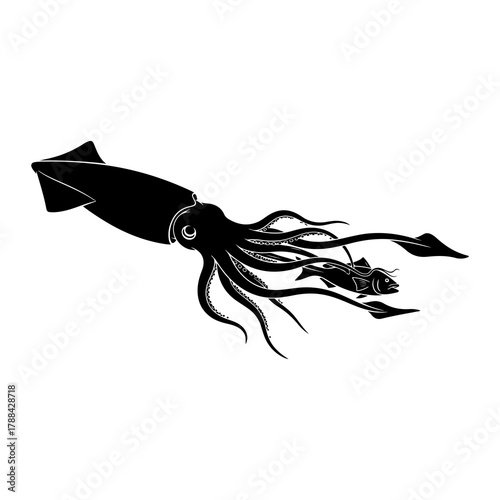 Silhouette of a Giant Squid Capturing a Fish octopus
