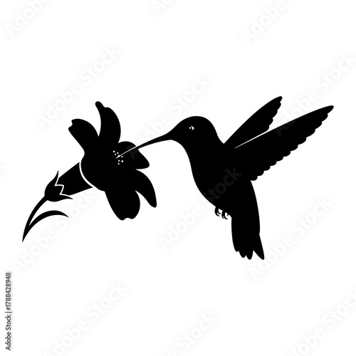 Silhouette of a hummingbird feeding on a flower nectar