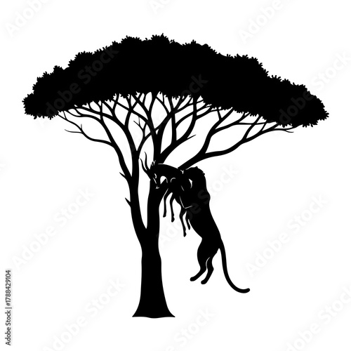 Silhouette of a leopard attacking an antelope in an acacia tree