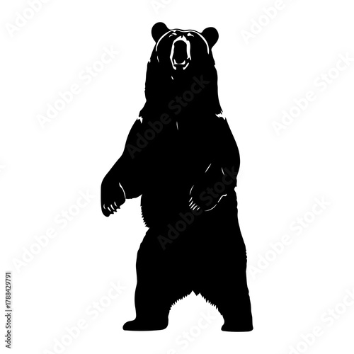 Silhouette of a standing bear roaring grizzly animal