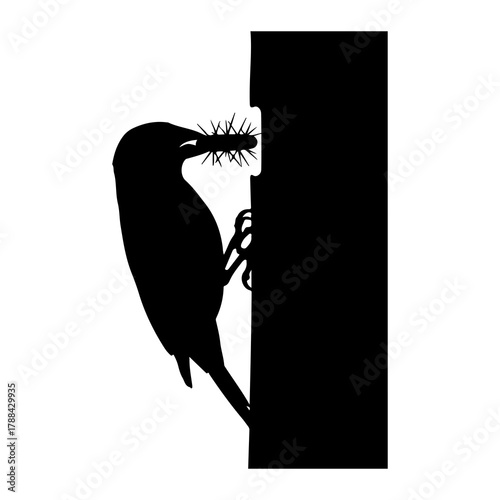 Silhouette of a Woodpecker Pecking at a Tree Trunk