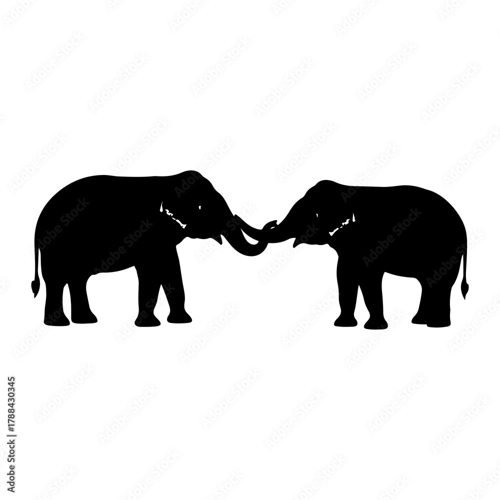 Fototapeta premium Silhouettes of two elephants touching trunks on a white background