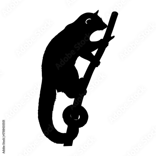 Squirrel Silhouette Climbing on a Branch on White Background