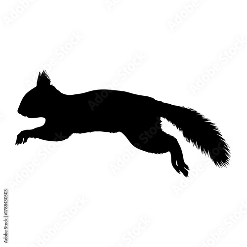 Squirrel Silhouette in Mid- Jump rodent animal