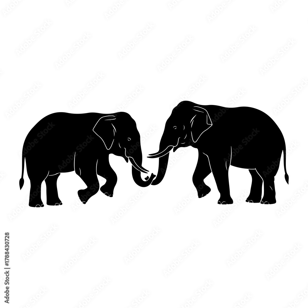 Fototapeta premium Two black elephant silhouettes touching trunks on a white background