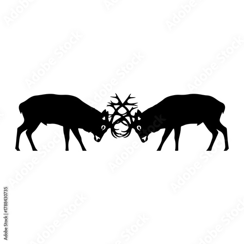 Two Deer Silhouettes Fighting With Antlers Intertwined Keywords: deer, stag, animal, wildlife