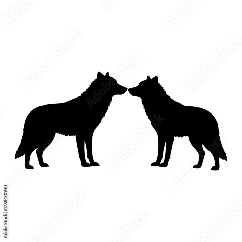 Two wolves facing each other in silhouette Keywords: wolf, wolves, animal, wildlife, silhouette