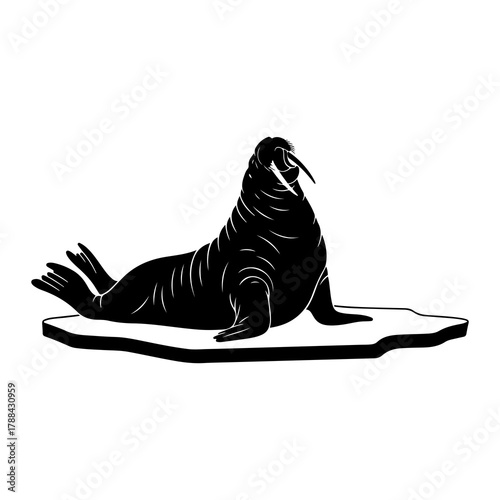 Walrus silhouette on an ice floe Keywords: walrus, animal, wildlife, silhouette, black and white