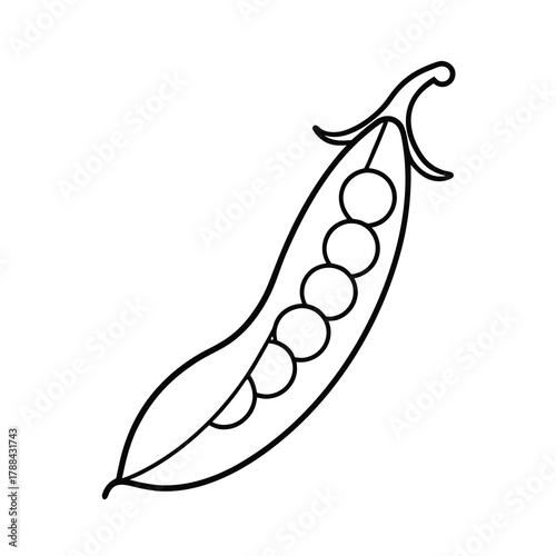 vector illustration of a green peas