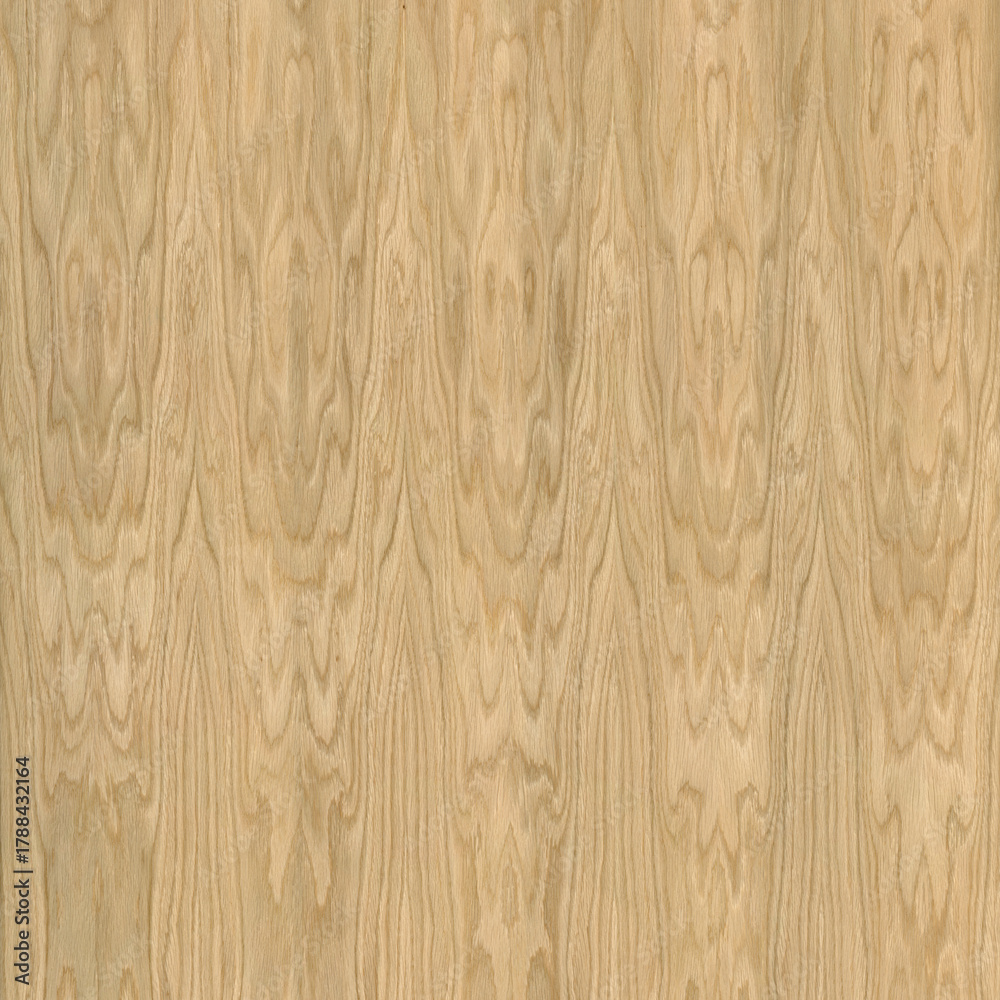 Fototapeta premium Crown-Cut Oak Veneer Texture