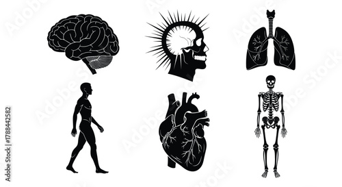 Human anatomy organs vector illustration medical health set art editable vector