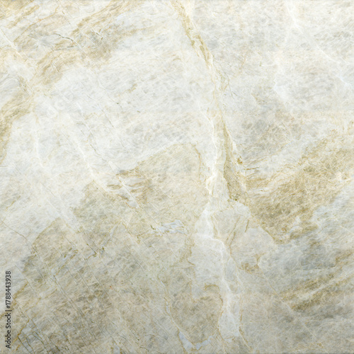 Taj Mahal Quartzite Texture