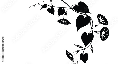 Black and white morning glory flower vine floral design art editable vector