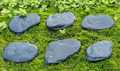 Dark stepping stones on green moss ground cover in garden path