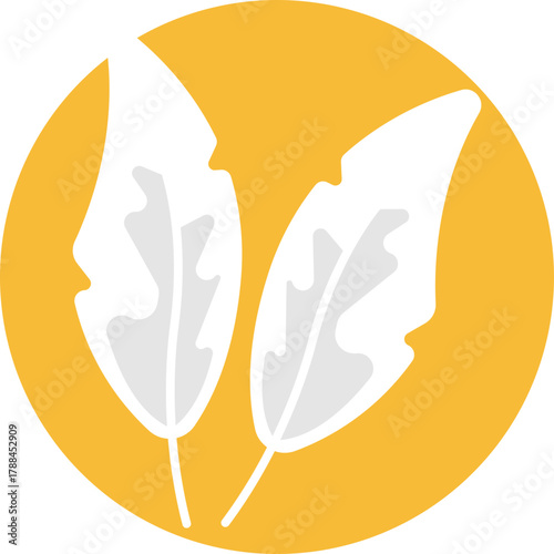 Lightweight and soft material detail, symbolizing feathered texture in fabrics.