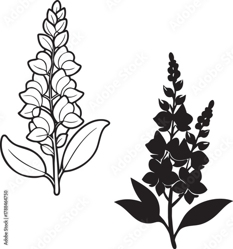 Flower spike illustrations outline silhouette