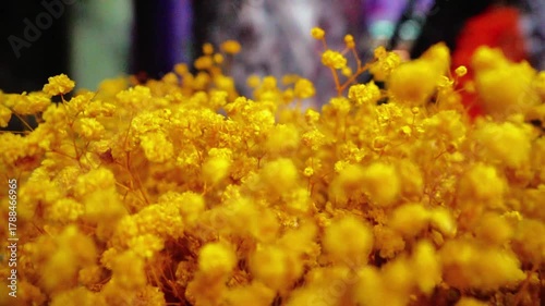 Tiny Yellow Flower Cluster
