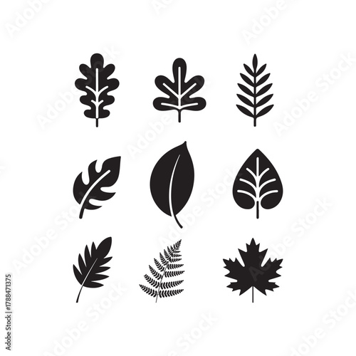 a collection of various leaf shapes displayed in a simple dark and striking silhouette high quality