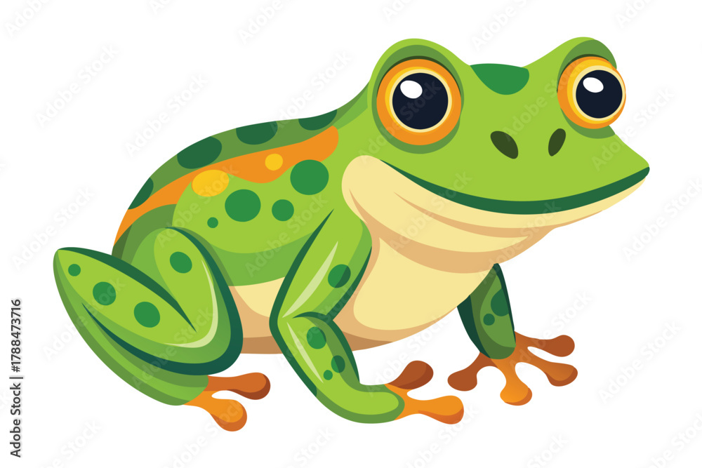 Obraz premium frog on white background