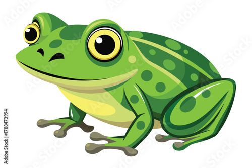 frog on white background