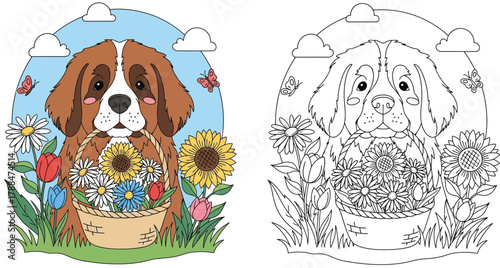 Cute St. Bernard Puppy Holding a Basket of Flowers Coloring Page with Colored Version