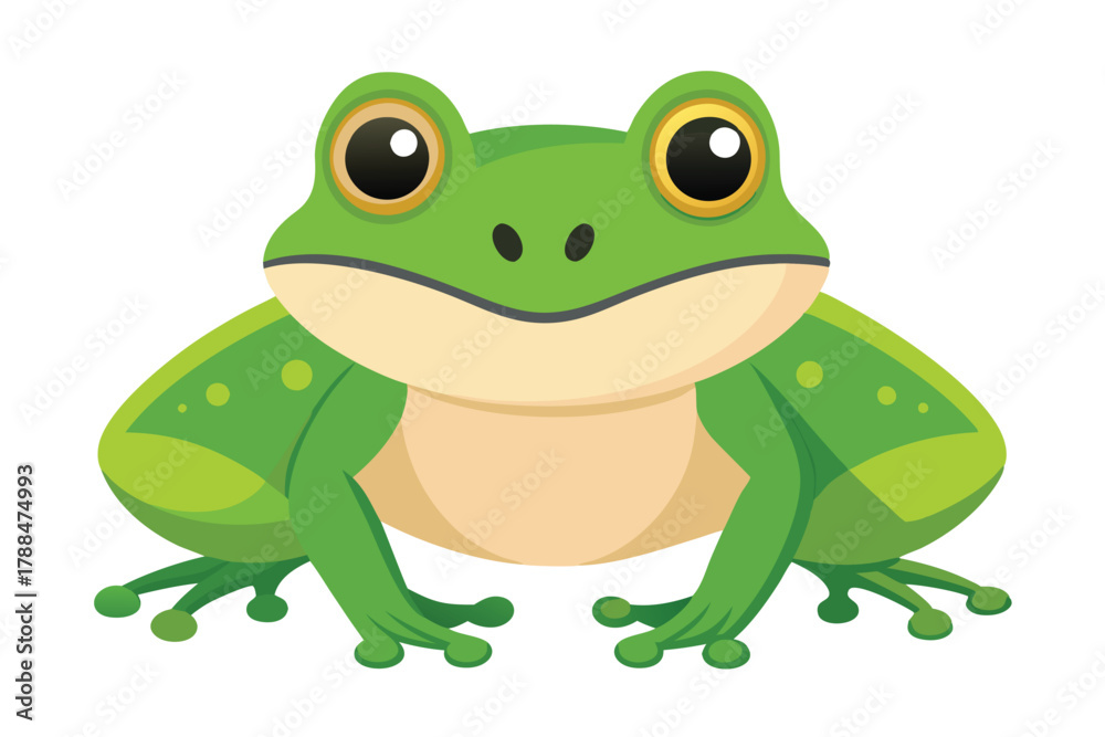 Obraz premium frog on white background