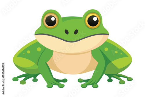 frog on white background