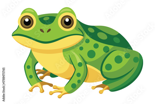 frog on white background