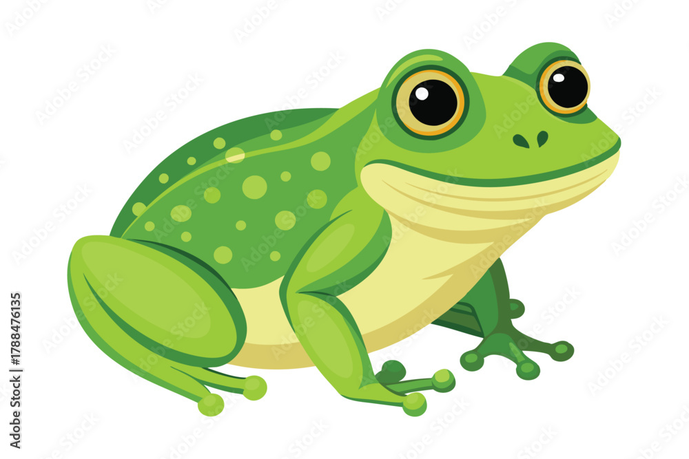 Obraz premium frog on white background