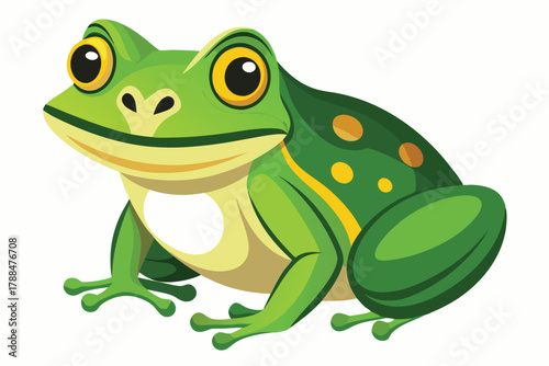 frog on white background