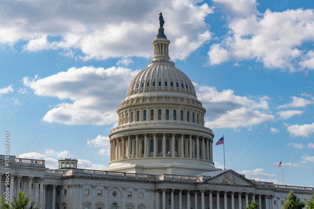 Fototapeta premium Capitol dome. Historic Capitol by the national flag. Capitol dome as symbol of law. Washington monument architecture. Washington DC. US Senate. Federal government in the nation capital. USA symbol