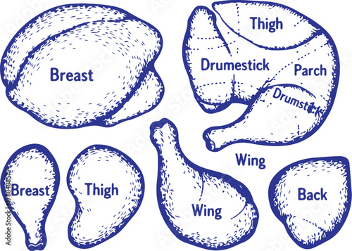 Diagram showing different cuts of chicken meat