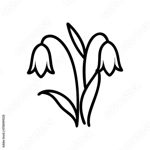 Three snowdrop flowers with leaves in black outline on transparent background