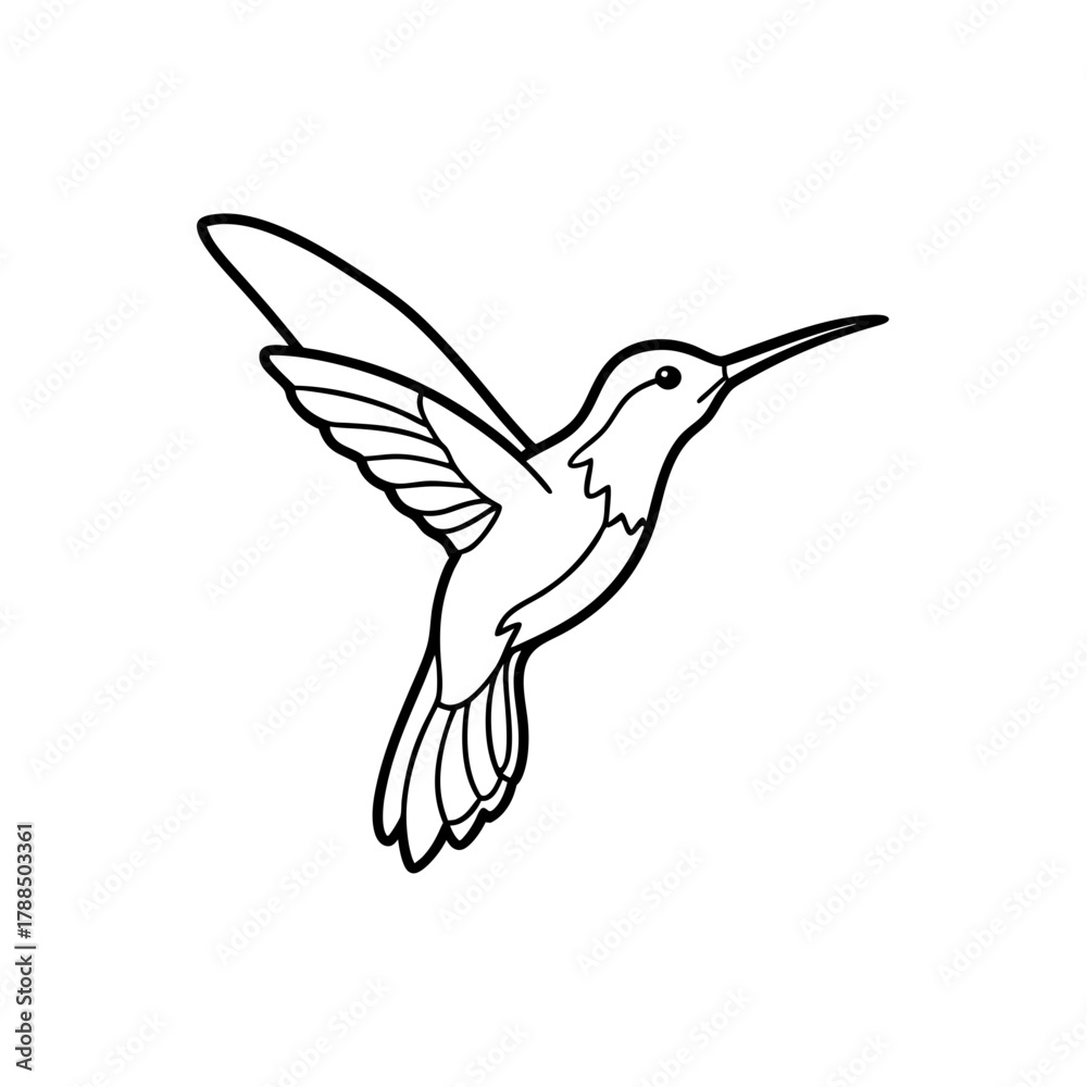 Fototapeta premium Hummingbird flying in a black and white line drawing on transparent background