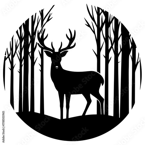 Deer in the forest
