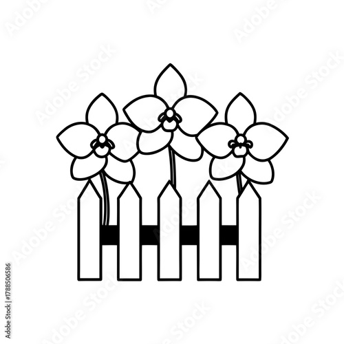 Three flowers behind a picket fence line drawing on transparent background