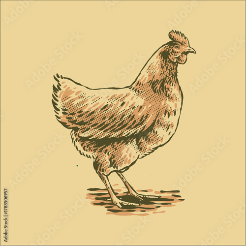 colored vector vintage hen dr...