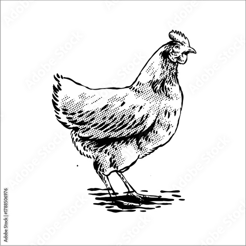 black and white vector vintag...