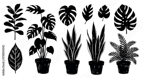 Black silhouette illustration of various potted plants and leaves, including monstera, fern, and other tropical foliage.