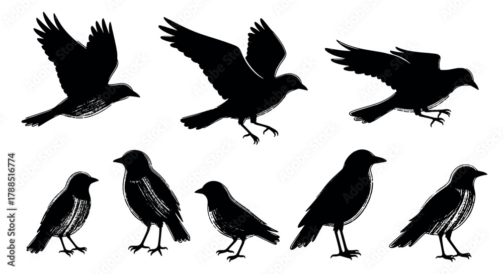 Obraz premium Black silhouette of crows in various flying and perched positions, showcasing distinct avian features and dynamic movements.