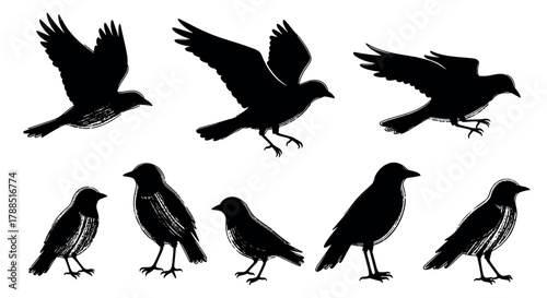 Black silhouette of crows in various flying and perched positions, showcasing distinct avian features and dynamic movements.