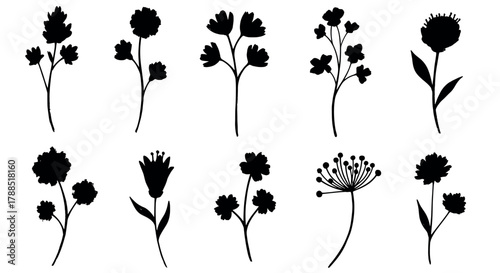 Ten unique black silhouette illustrations of various wildflowers, each with distinct shapes and petal arrangements.