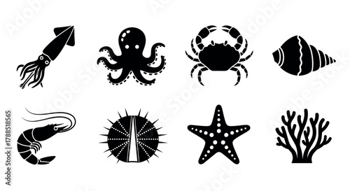 Black silhouette icons of marine life, featuring a squid, octopus, crab, conch shell, shrimp, sea urchin, starfish, and coral.