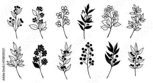 Black outline drawing of twelve simple floral arrangements with various leaves and round flowers in minimalist style.