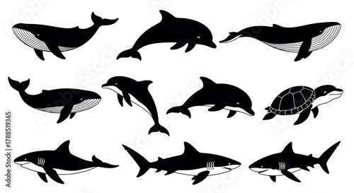 Black silhouette illustrations of various marine animals, including whales, dolphins, sharks, and a turtle, showcasing their distinct shapes and features.
