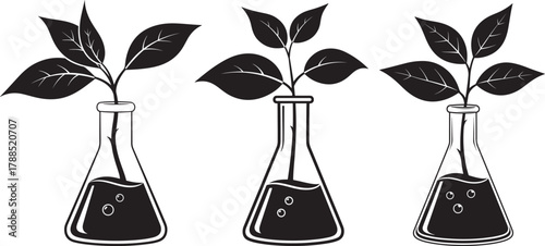Three laboratory flasks with growing plants in silhouette