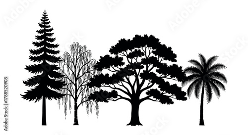 Black silhouette illustration of four distinct tree types, including a pine, willow, oak, and palm, showcasing diverse botanical shapes on a white background.